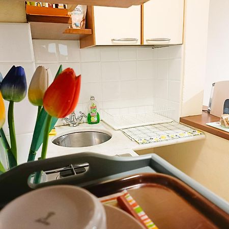 Il Giardino Segreto Apartment Лука Екстериор снимка