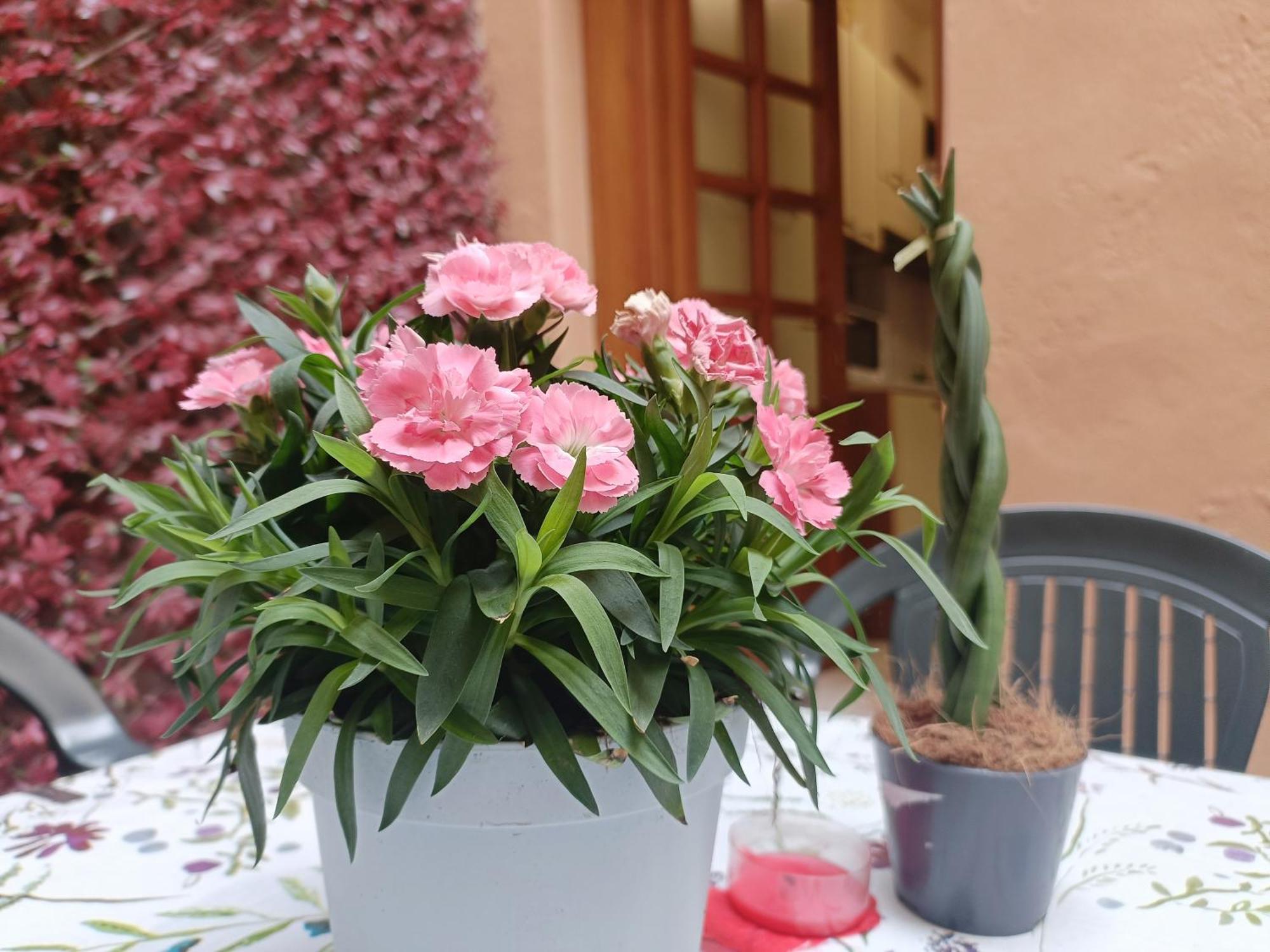 Il Giardino Segreto Apartment Лука Екстериор снимка