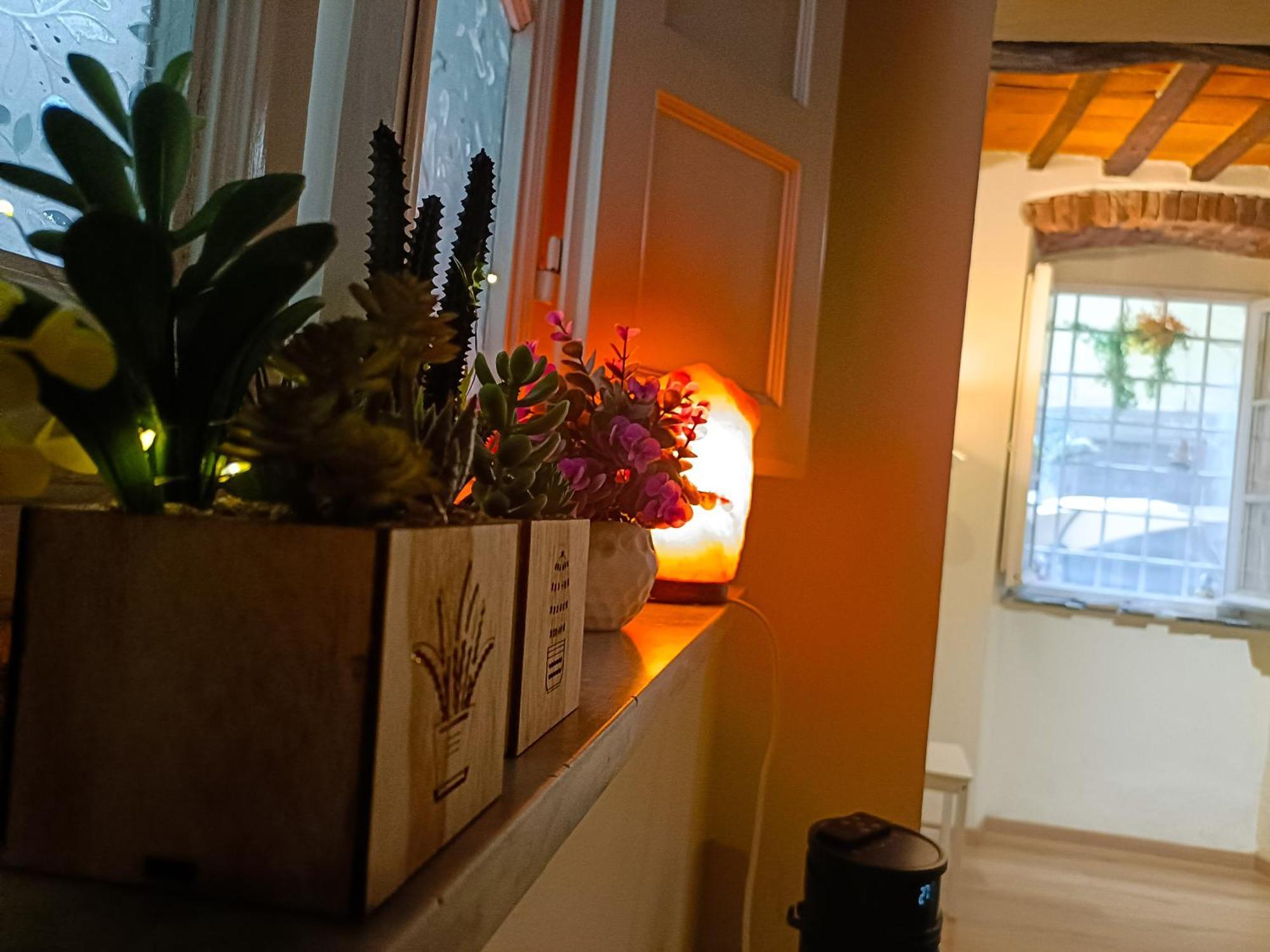 Il Giardino Segreto Apartment Лука Екстериор снимка
